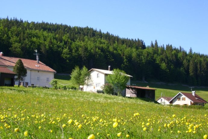 L&rsquo;atelier de parrain
