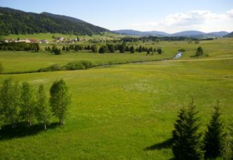 L’atelier de parrain