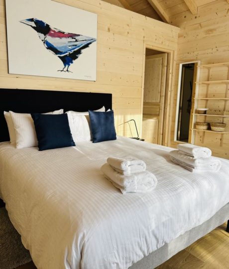 Le Clos des Pies – Le Cocon avec bain nordique
