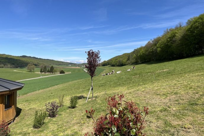 Les Cabio&rsquo;Gites – cabane Mélèze