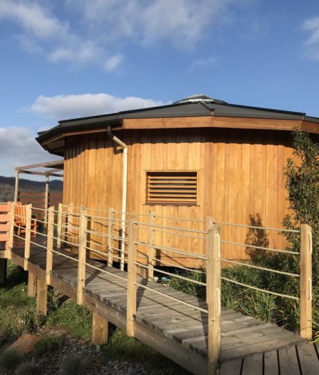 Les Cabio’Gites – cabane Douglas