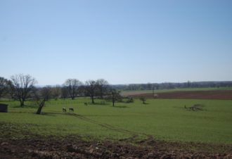Le Sabotier