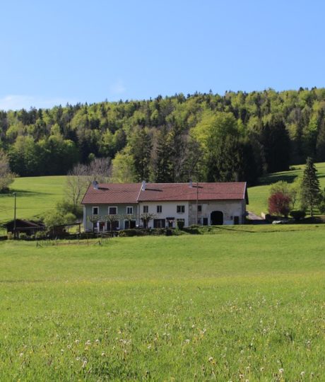 Gîte n°G879