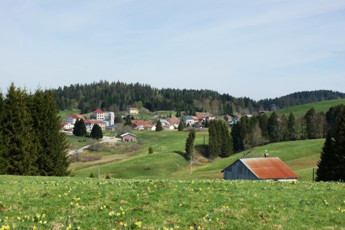 L&rsquo;Epiciéa