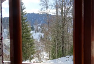 Chalet le Dahut (4 personnes + lit supplémentaire)