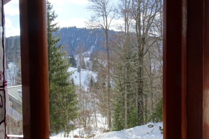 Chalet le Dahut (4 personnes + lit suplémentaire)