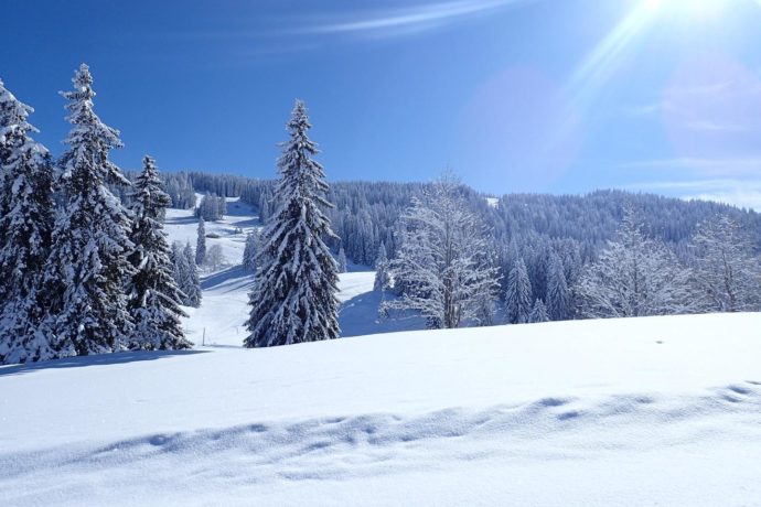 Chalet le Dahut (4 personnes + lit suplémentaire)