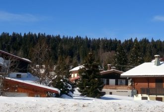 Appartement – Chalet les Épilobes – Gilbert GRENARD – 1 chambre
