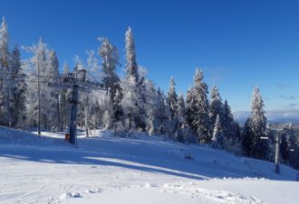 Appartement – Chalet les Épilobes – Gilbert GRENARD – 1 chambre