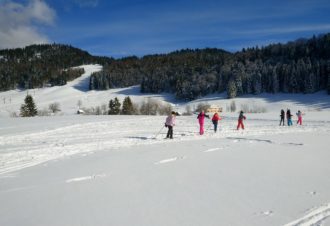 Appartement – Chalet les Épilobes – Gilbert GRENARD – 2 chambres