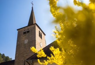 Collégiale Saint Anatoile
