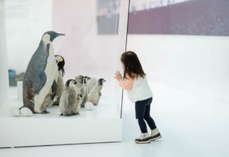 Musée de l’Espace des Mondes Polaires Paul-Émile Victor