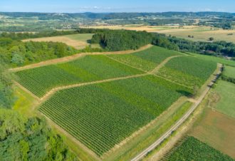 Domaine Pierre Richard par Vincent Richard