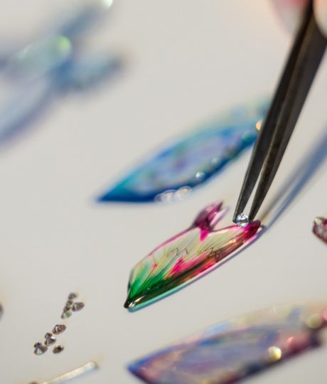 Le monde merveilleux de julie