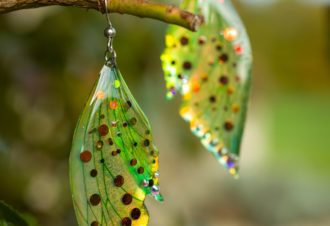 Le monde merveilleux de julie