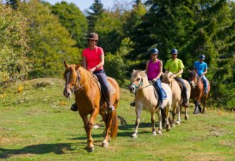 Gaïa Loisirs – activités équestres