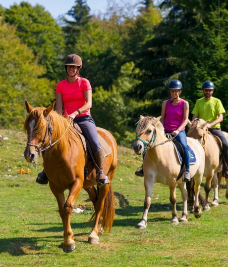 Gaïa Loisirs – activités équestres