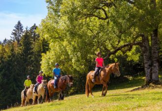 Gaïa Loisirs – activités équestres