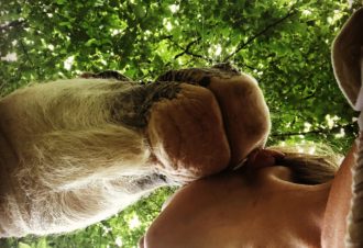 Les Chevaux de Beltane