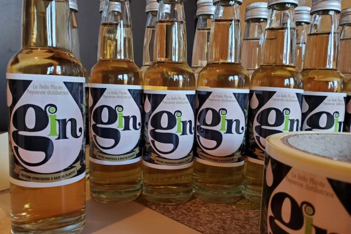 Gin