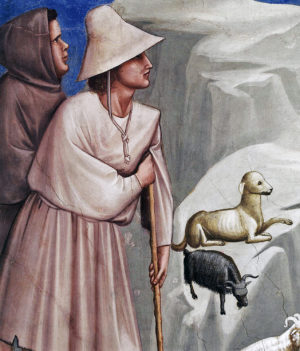 Giotto, Détail issu des fresques de la Chapelle Scrovegni, Padoue, vers 1305