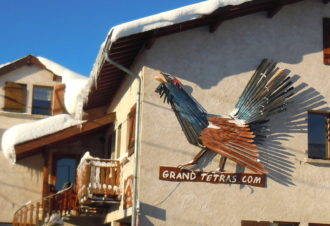 Le Grand Tétras