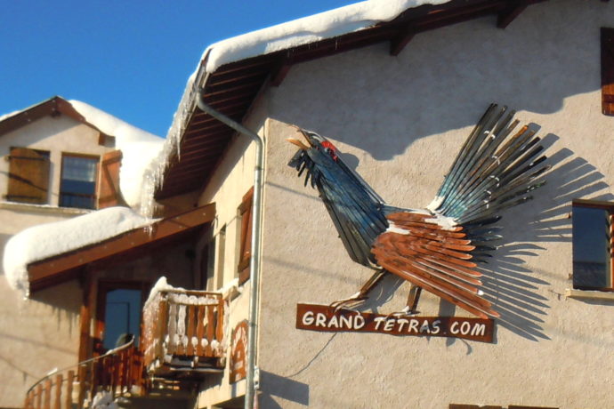 Gîte le grand tétras