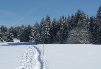 Site Nordique de Nanchez – Prénovel, Chaux des Prés, Les Piards