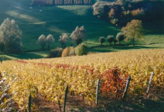 Reculée de Grusse-Val-Sonnette