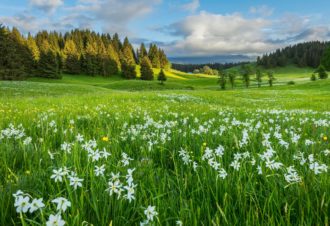Office de Tourisme Haut-Jura Saint-Claude – Les Moussières