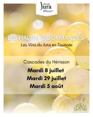 Tournée 2024 post Réseaux sociaux (Publication Instagram (4:5)) – 4