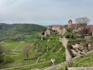 IMG_0100