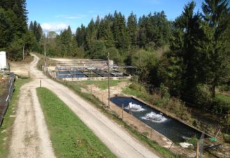 Pisciculture du Moulin de Pierre