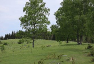 Belvédère du Bévet