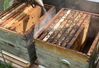 Les miels du Massif du Jura