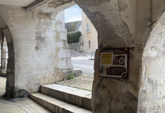 Jeu « Tino le crapaud »