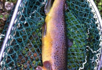 Pisciculture du Moulin de Pierre