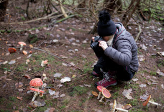 Jean-Baptiste Strobel – Guide naturaliste, accompagnateur en montagne