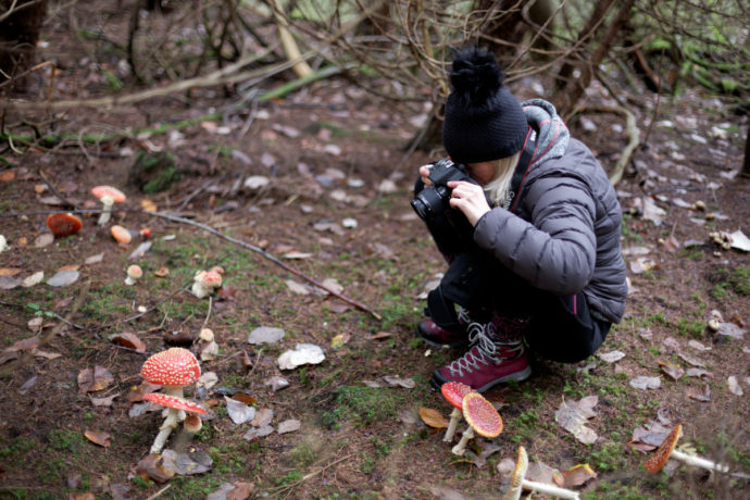 Découvertes photographiques