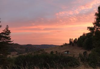 Aire de camping et yourtes – La Ferme au Chapeau Vert