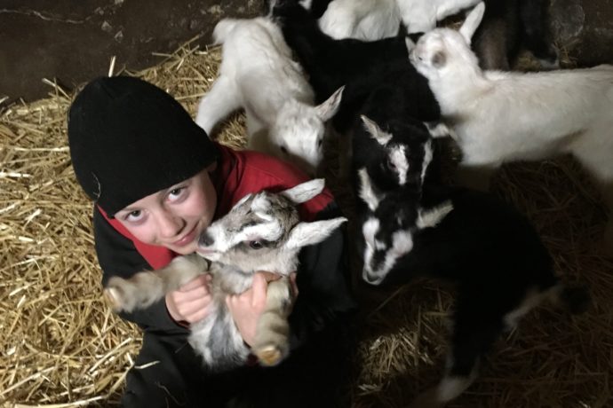 ferme
