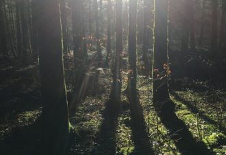 Éducatrice environnement