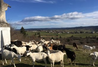 Ferme de la Fruitière
