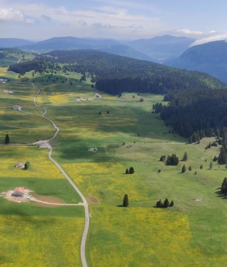 L’Estive des Platières