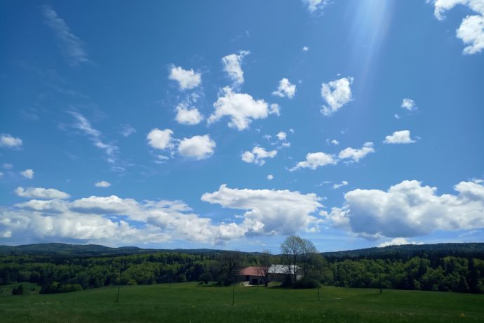 Au milieu des champs
