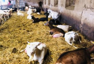 Ferme de la Fruitière