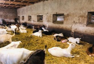 Ferme de la Fruitière