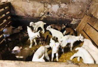 Ferme de la Fruitière