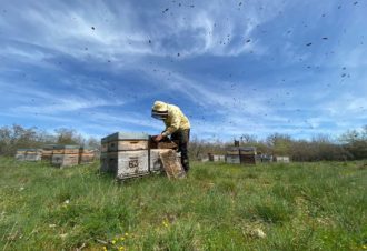 Coopérative Les Compagnons du Miel