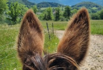 Le p&rsquo;tit coin de Ca&rsquo;Ré